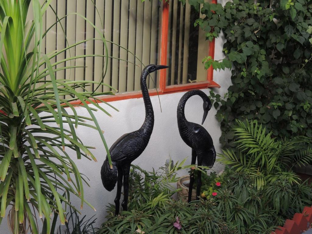 פאלם דזרט Casa Larrea Inn מראה חיצוני תמונה